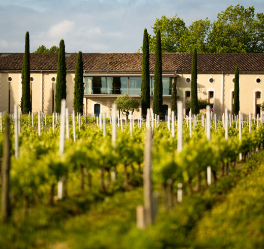 Vignoble du Château Clarke