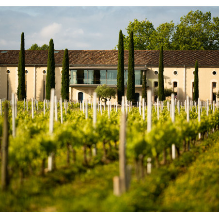 Vignoble du Château Clarke