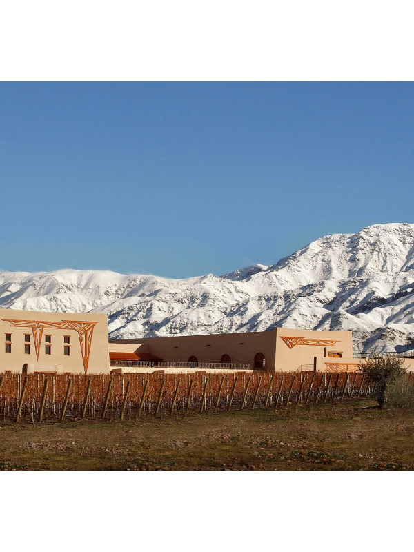 Bodega Flechas de Los Andes