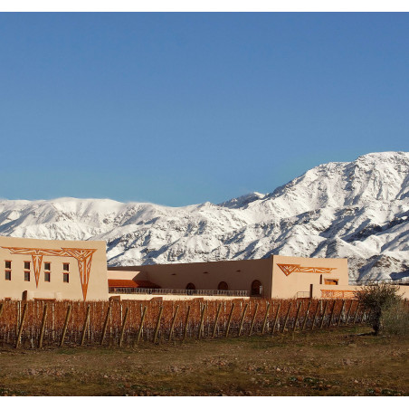 Bodega Flechas de Los Andes