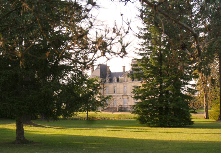 Château des Laurets et son vignoble