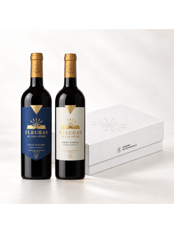 Coffret de deux bouteilles Flechas de los Andes
