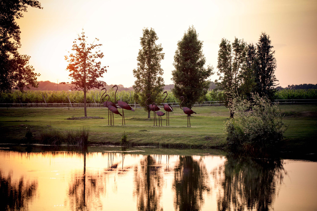 Afterwork "les Saveurs de l'Audace"